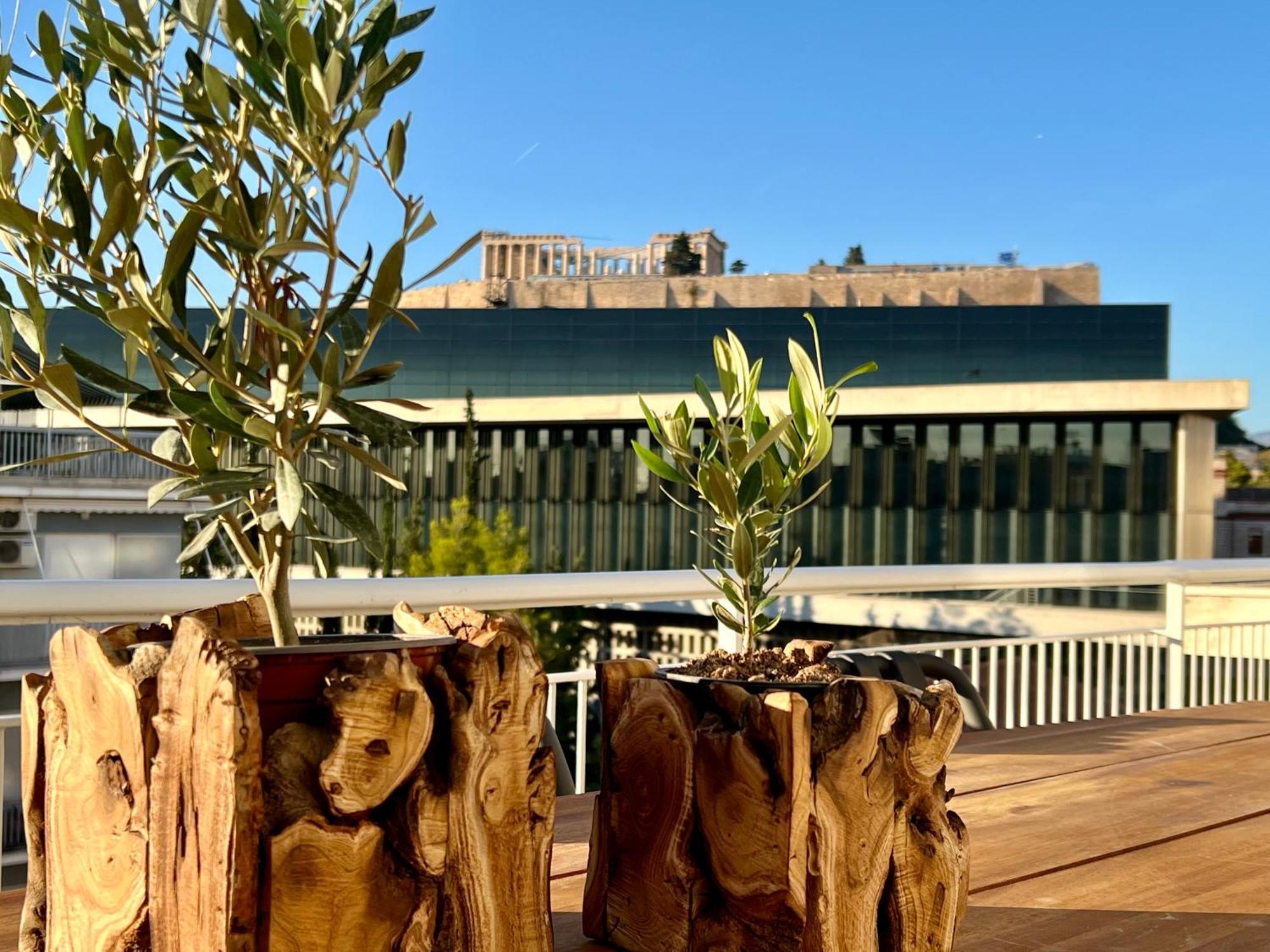 Acropolis View Deluxe Penthouse & Luxury Apartments アテネ 部屋 写真