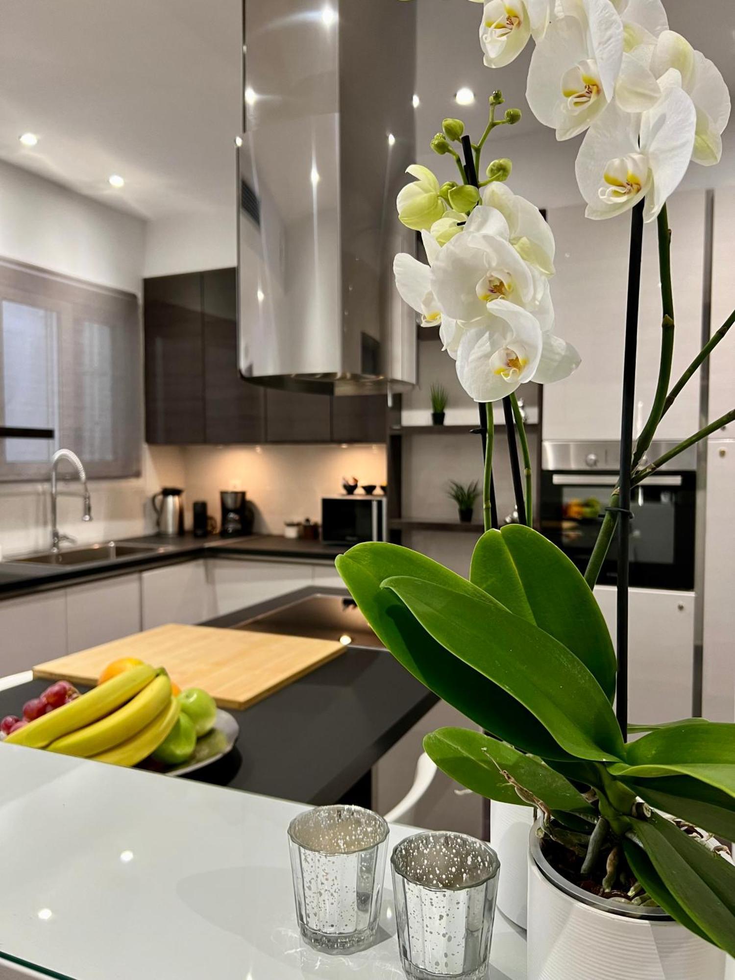 Acropolis View Deluxe Penthouse & Luxury Apartments アテネ 部屋 写真